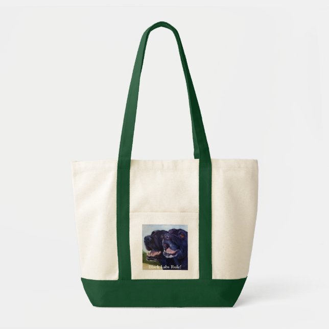 Bolso De Tela ¡Regla negra de los laboratorios! (Frente)