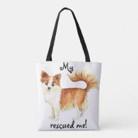 Rescue Long Coat Chihuahua