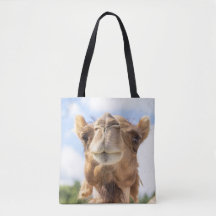 Retrato de un camello