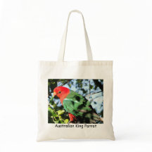 Rey australiano Parrot