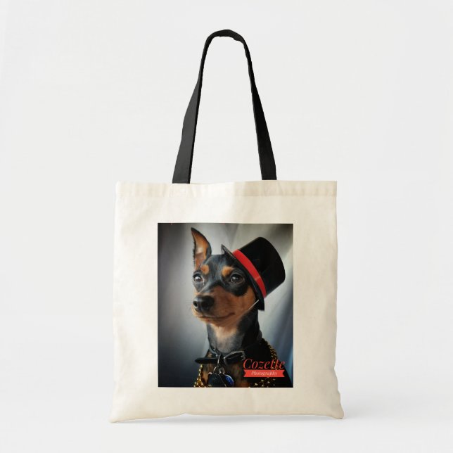Bolso De Tela Rich MIn Pin (Frente)