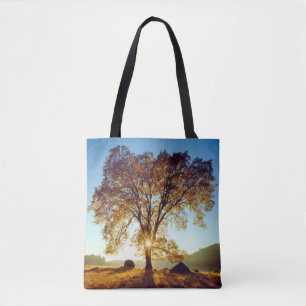 Bolso De Tela Robles Negros   Bosque Nacional Cleveland, CA