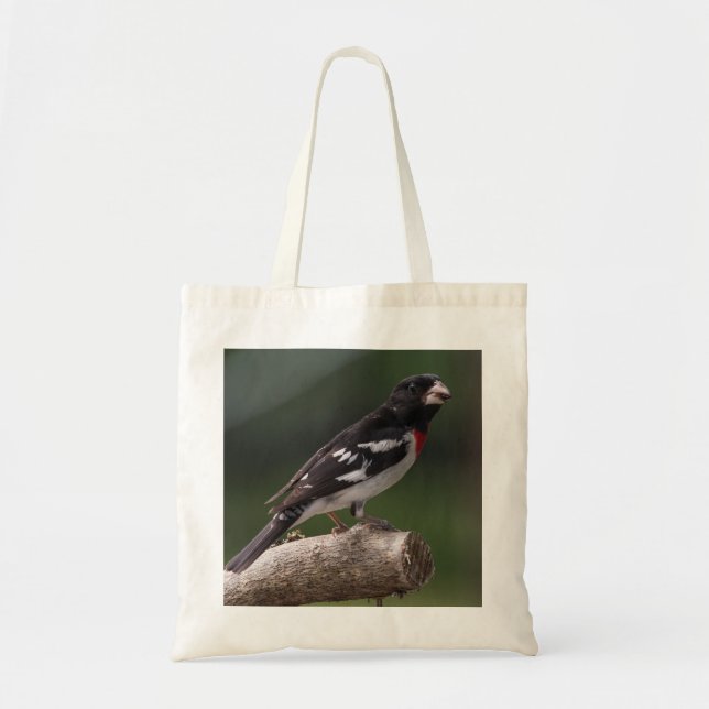 Bolso De Tela Ropa Rosa (Frente)