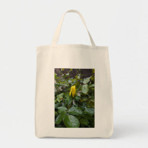 Bolso De Tela Rosa amarilla en la lluvia