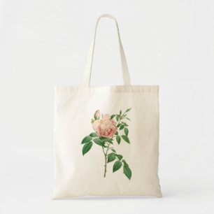 Bolso De Tela Rosa indica fragrans ilustracion botánico
