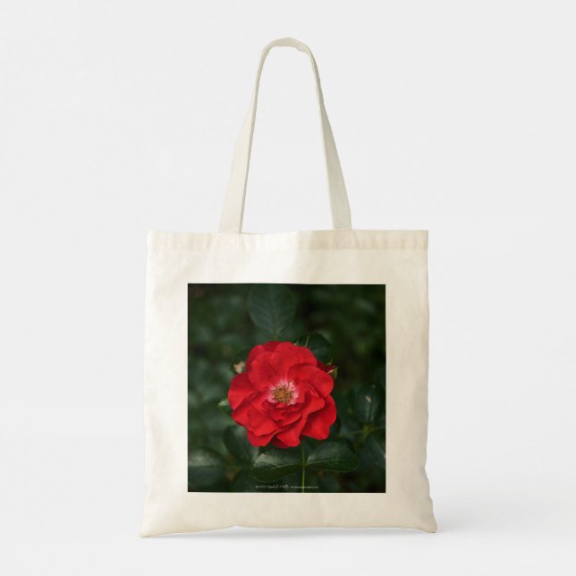 Bolso De Tela Rosa roja P6568 (Reverso)