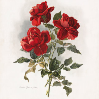 Bolso De Tela Rosa Roja, Rosas Románticas.