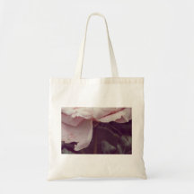 Rosa rosa rosa oscuro