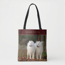 Samoyedos