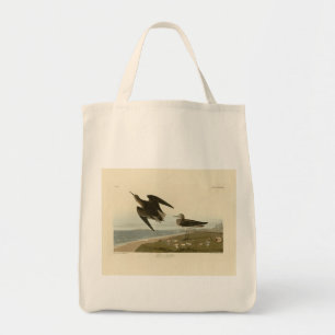 Bolso De Tela Sandpiper de Schinz de los pájaros de América de A