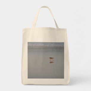 Bolso De Tela Sandpiper Running Beach Nature Wildlife Fotografía