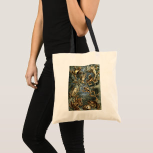 Bolso De Tela Sapos y ranas vintage Batrachia por Ernst Haeckel