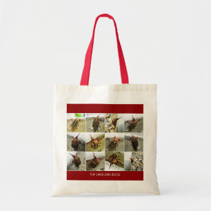 Bolso De Tela Scarab June Beetle Insect Big Bug