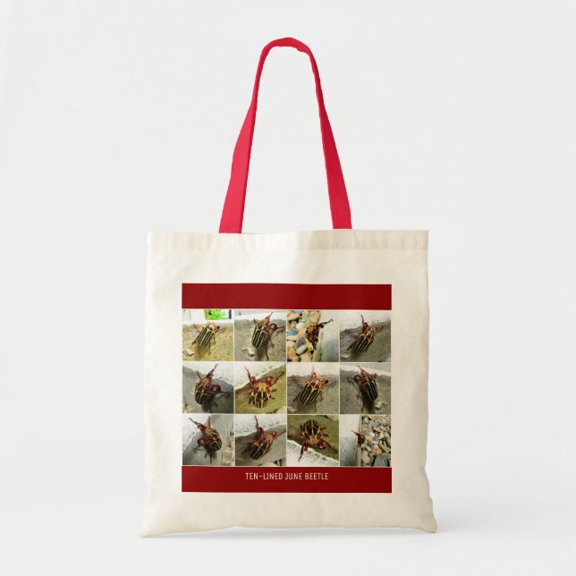 Bolso De Tela Scarab June Beetle Insect Big Bug (Frente)