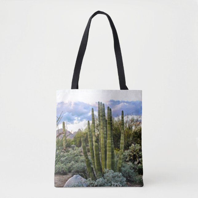 Bolso De Tela Scottsdale Succulent Sunset (Anverso)