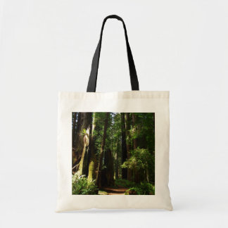 Bolso De Tela Secuoyas y helechos en el Parque Nacional Redwood