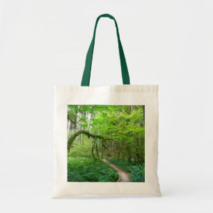 Bolso De Tela Sendero Ancient Groves en el Parque Nacional Olymp