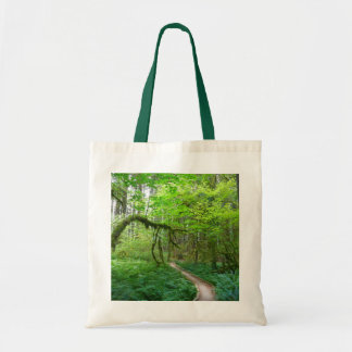 Bolso De Tela Sendero Ancient Groves en el Parque Nacional Olymp