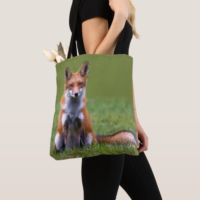 Bolso De Tela Sentada del Fox rojo (Detalle)