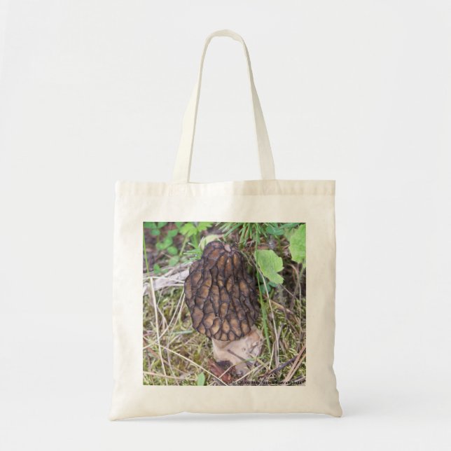 Bolso De Tela seta (Frente)