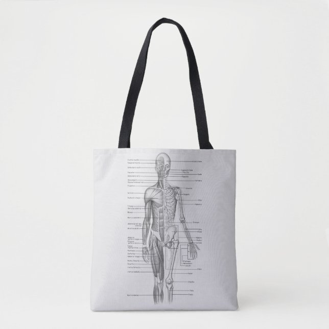 Bolso De Tela Siempre aprendiendo: Carta de la anatomía del (Anverso)