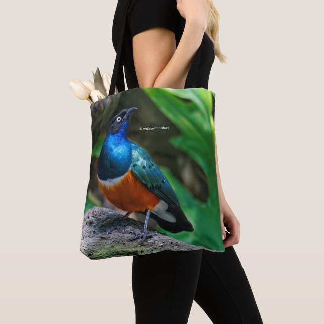 Bolso De Tela Sorprendente sonámbulo africano estrella (Detalle)