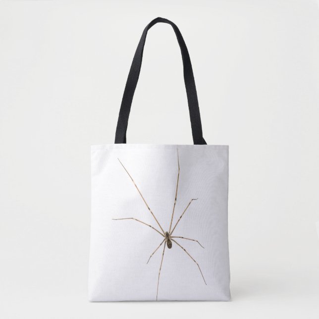 Bolso De Tela Spider (Anverso)