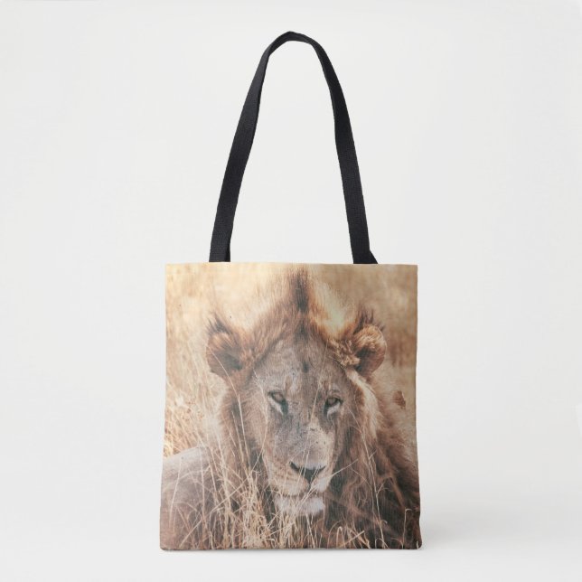 BOLSO DE TELA SR. LION KING (Anverso)