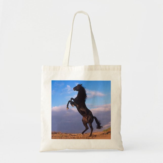 Bolso De Tela Stallion negro (Frente)