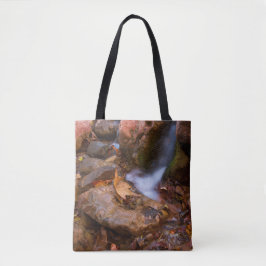 Bolso De Tela Stream en Payson, Arizona