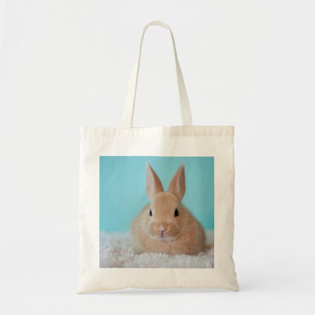 Bolso De Tela Sweet Bunny (Frente)