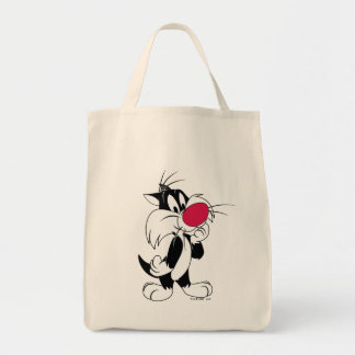 Bolso De Tela Sylvester Jr.| Pose clásico