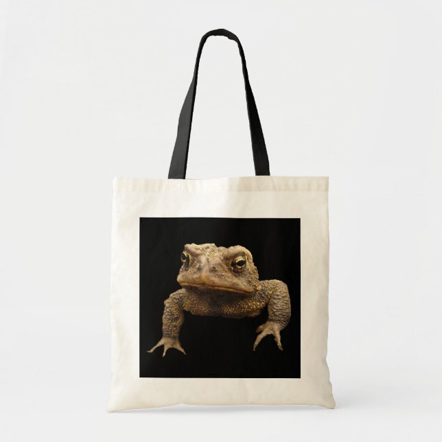 Bolso De Tela Tapo americano (Frente)