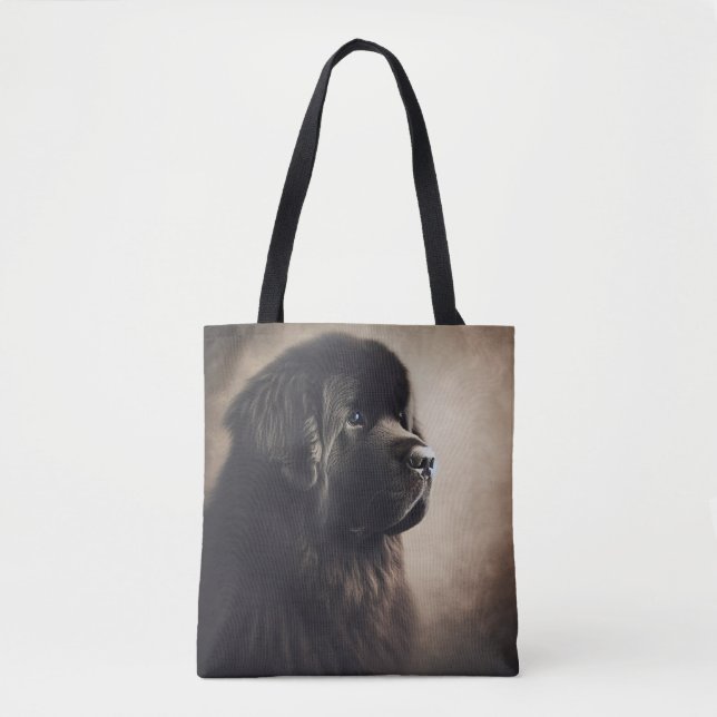 Bolso De Tela Terranova (Anverso)