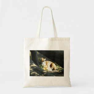 Bolso De Tela Tiger Catnap
