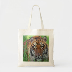 Bolso De Tela Tigre