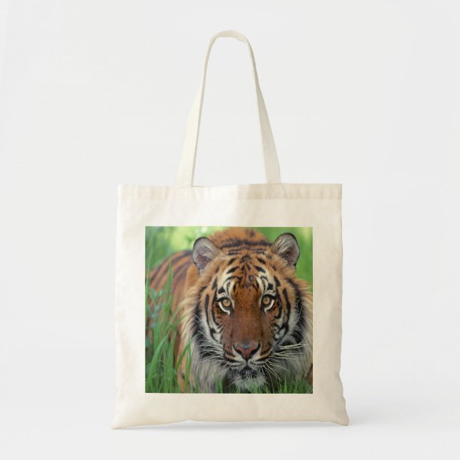 Bolso De Tela Tigre (Frente)