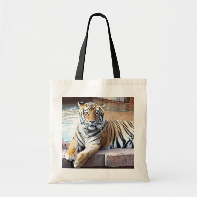 Bolso De Tela Tigre (Frente)