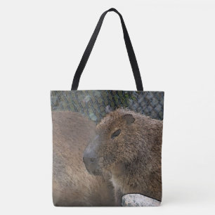 Bolso De Tela toony Capibarah
