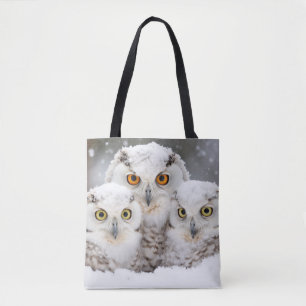 Bolso De Tela Tote