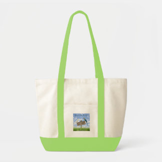 Bolso De Tela tote 3FF