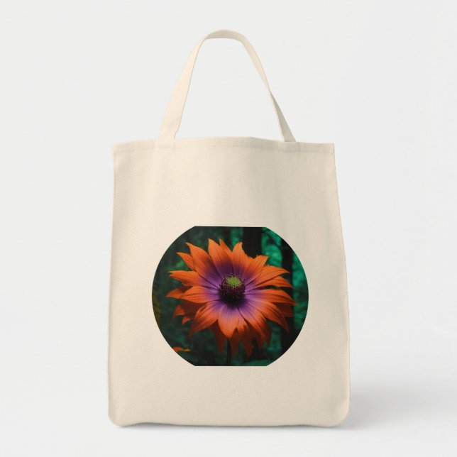 Bolso De Tela Tote Bag (Frente)