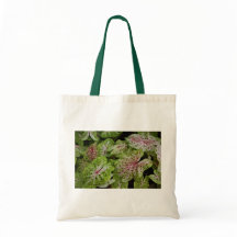 Tote de Gingerland del Caladium