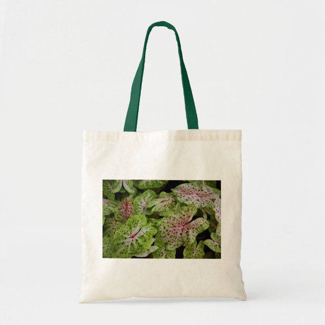 Bolso De Tela Tote de Gingerland del Caladium (Frente)