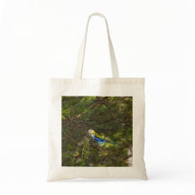Tote de Rosella de Cabeza Pálida