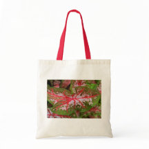 Tote del Caladium