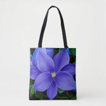 Tote del diseñador de Julia Margaglione