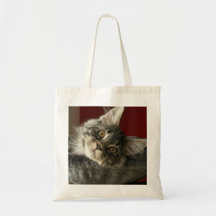 Bolso De Tela Tote del gatito del Coon de Maine