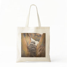 Tote Tawny Frogmouth Chicks