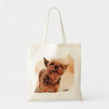 Tote Yorkie